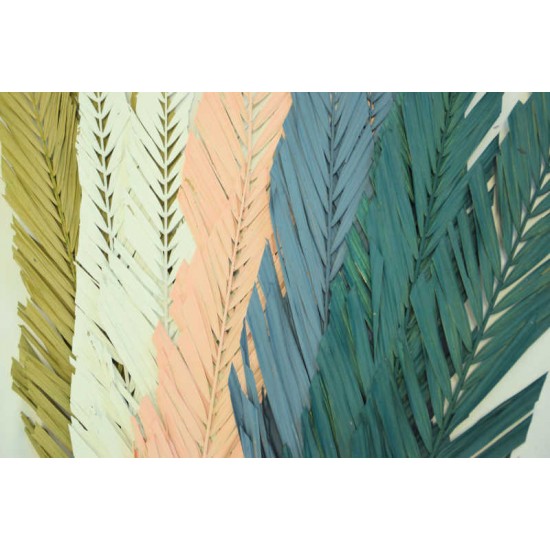 Cut Palm Frond Leaves - Colors