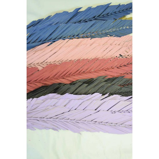 Cut Palm Frond Leaves - Colors