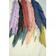 Cut Palm Frond Leaves - Colors