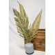 Cut Palm Frond Leaves - Natural