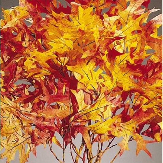 Dried Autumn Oak Leaves (1 LB Preserved leaves) Dried Autumn Oak Leaves (1 LB Preserved leaves)