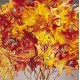 Dried Autumn Oak Leaves (1 LB Preserved leaves) Dried Autumn Oak Leaves (1 LB Preserved leaves)