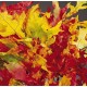 Dried Harvest tone Oak Leaves (1 LB Preserved leaves) Dried Harvest tone Oak Leaves (1 LB Preserved leaves)