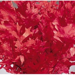 Preserved Red Oak Leaves (1 LB dried leaves)