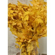 Preserved Yellow Leaves (1 LB dried leaves)