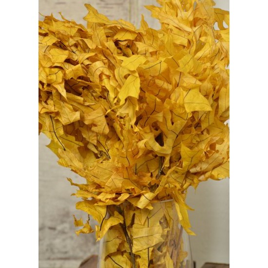 Preserved Yellow Leaves (1 LB dried leaves)