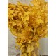 Preserved Yellow Leaves (1 LB dried leaves) Preserved Yellow Leaves (1 LB dried leaves)