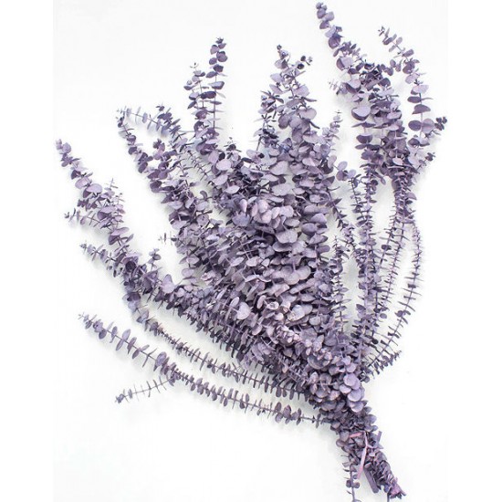 Preserved Eucalyptus - Pastel Lilac Purple