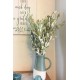 Natural Dried Integrifolia Bunch Natural Dried Integrifolia Bunch