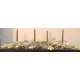 Natural Dried Integrifolia Bunch Natural Dried Integrifolia Bunch