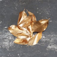 Painted Magnolia Leaves - Case
