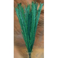 Dried Palm Leaves - Dried Palm Fronds