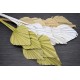 Dried Cut Spear Palm Fronds Dried Cut Spear Palm Fronds