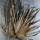 Dried Whole Palm Fronds - Painted Case