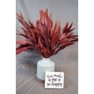 Preserved Willow Eucalyptus Bunch - Red