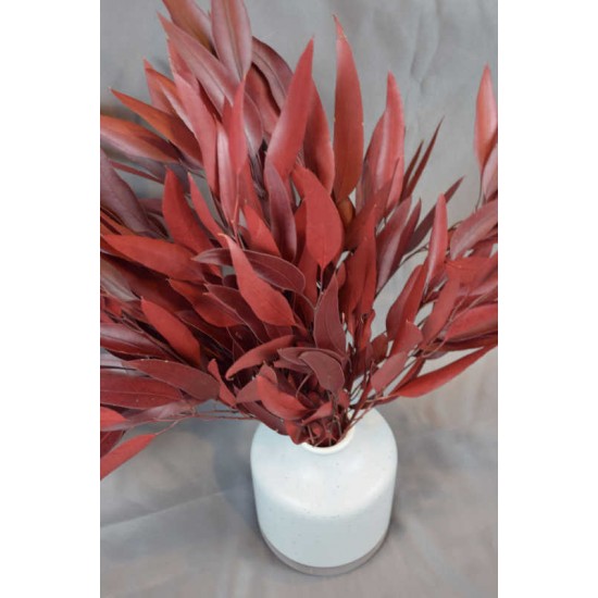 Preserved Willow Eucalyptus Bunch - Red