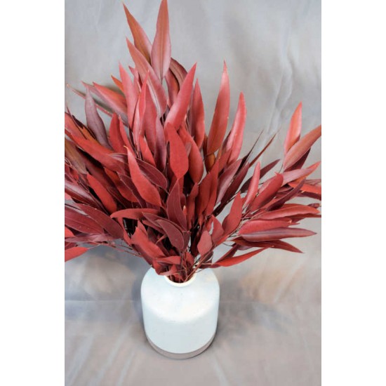 Preserved Willow Eucalyptus Bunch - Red