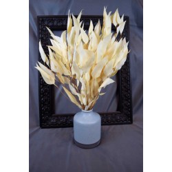 Preserved Willow Eucalyptus Bunch - Bleached White