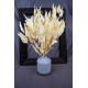 Preserved Willow Eucalyptus Bunch - Bleached White