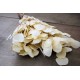 Preserved Populus Eucalyptus Bunch - White