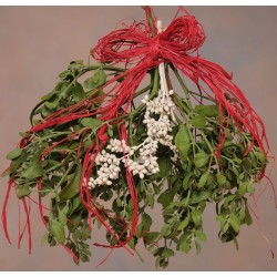 Fresh Mistletoe Bough Bouquet