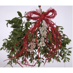 Fresh Mistletoe Bough Bouquet