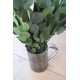 Preserved Populus Eucalyptus Bunch - Green Preserved Populus Eucalyptus Bunch - Green