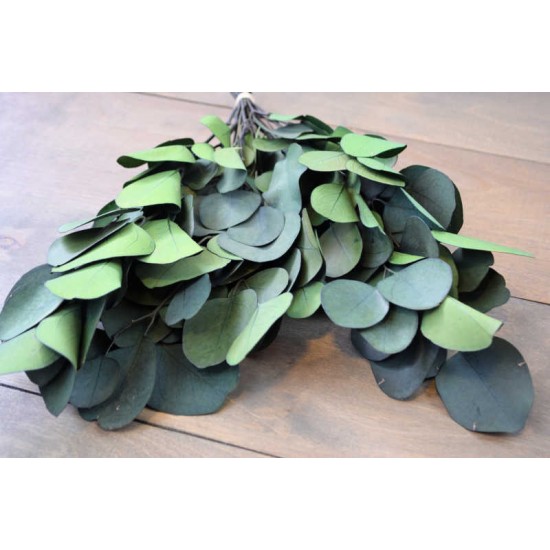 Preserved Populus Eucalyptus Bunch - Green Preserved Populus Eucalyptus Bunch - Green