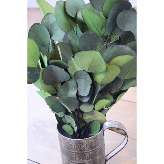 Preserved Populus Eucalyptus Bunch - Green Preserved Populus Eucalyptus Bunch - Green