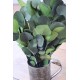 Preserved Populus Eucalyptus Bunch - Green Preserved Populus Eucalyptus Bunch - Green