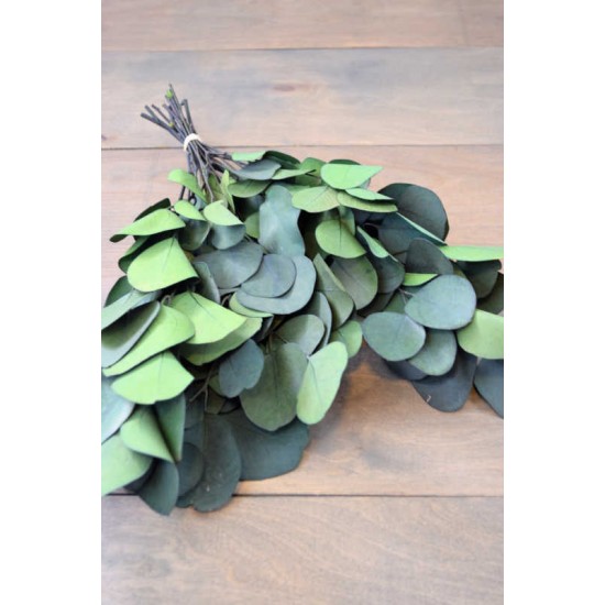 Preserved Populus Eucalyptus Bunch - Green Preserved Populus Eucalyptus Bunch - Green