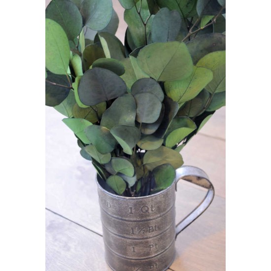 Preserved Populus Eucalyptus Bunch - Green Preserved Populus Eucalyptus Bunch - Green
