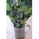 Preserved Populus Eucalyptus Bunch - Green Preserved Populus Eucalyptus Bunch - Green