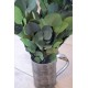 Preserved Populus Eucalyptus Bunch - Green