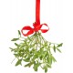 Dried Mistletoe Boughs Dried Mistletoe Boughs