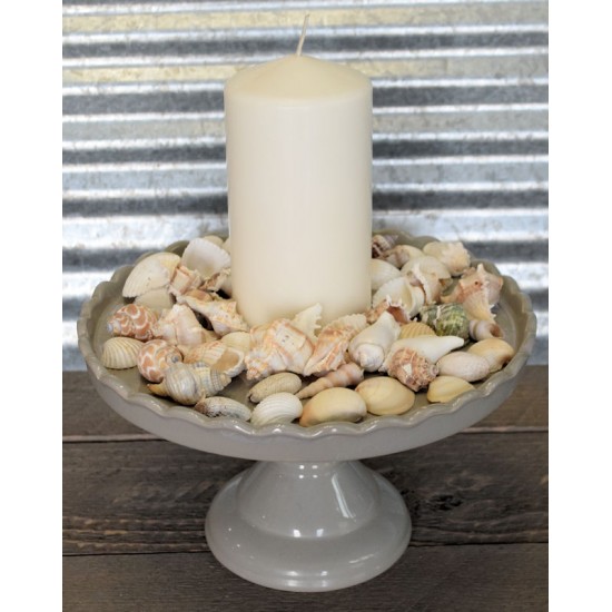 Assorted Decorative Sea Shells - 2 Bags Large Assorted Decorative Sea Shells - 2 Bags Large