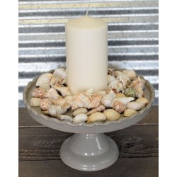 Assorted Decorative Sea Shells - 2 Bags Medium