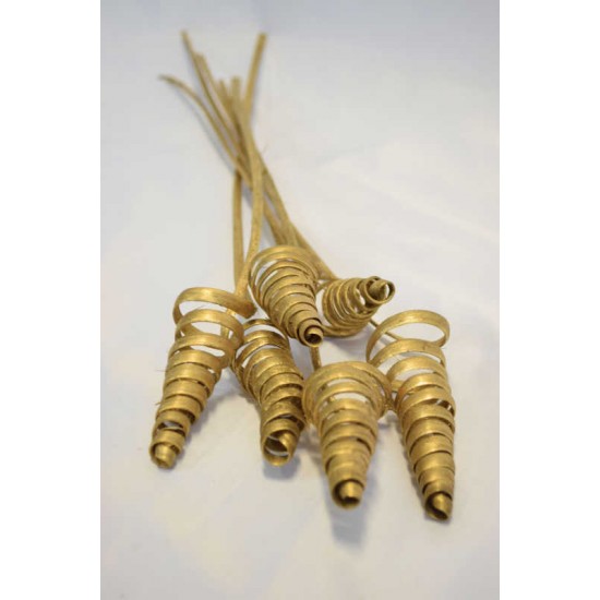 Dried Cane Cones - Gold Painted