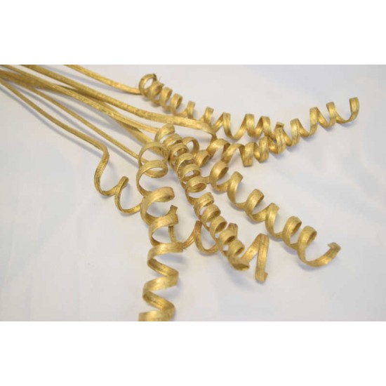 Dried Cane Springs - Gold Painted