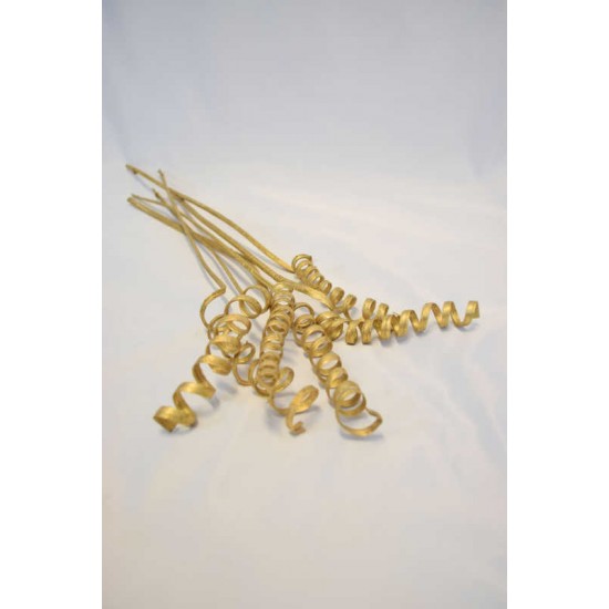 Dried Cane Springs - Gold Painted Dried Cane Springs - Gold Painted