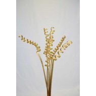 Dried Cane Springs - Gold Painted
