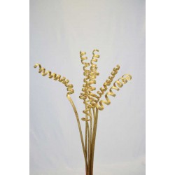 Dried Cane Springs - Gold Painted
