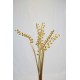 Dried Cane Springs - Gold Painted Dried Cane Springs - Gold Painted