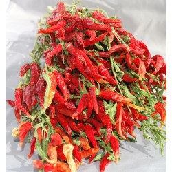 Dried Red Chili Peppers Bunch