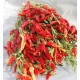 Dried Red Chili Peppers Bunch