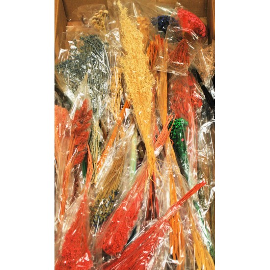 Dried Mixed Floral Supply Box (Great Sample Box)