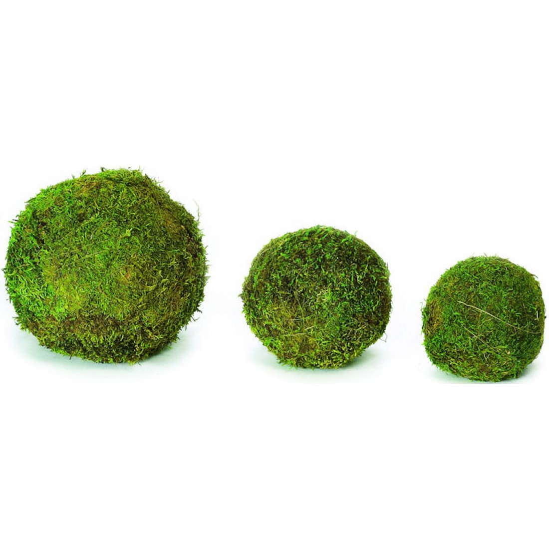 Decorative Moss Balls Moss Balls for Sale Sheet Moss Balls