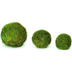 Decorative Moss Balls - 2,6,8 inch diameter