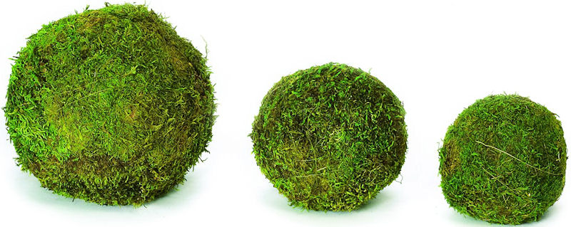 Decorative Moss Balls Moss Balls For Sale Sheet Moss Balls