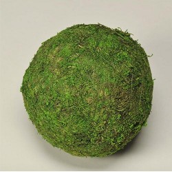 Decorative Moss Balls - 2,6,8 inch diameter